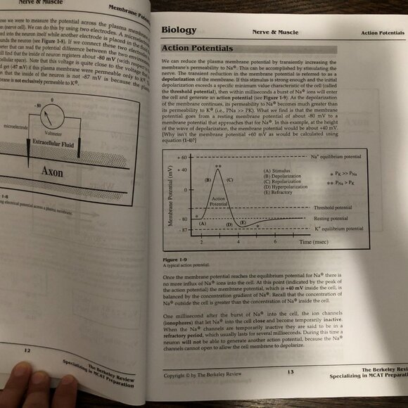 The Berkeley Review (TBR) MCAT Prep Biology Part I - New edition - Picture 4 of 4